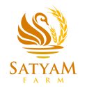 Satyam Color logo-01